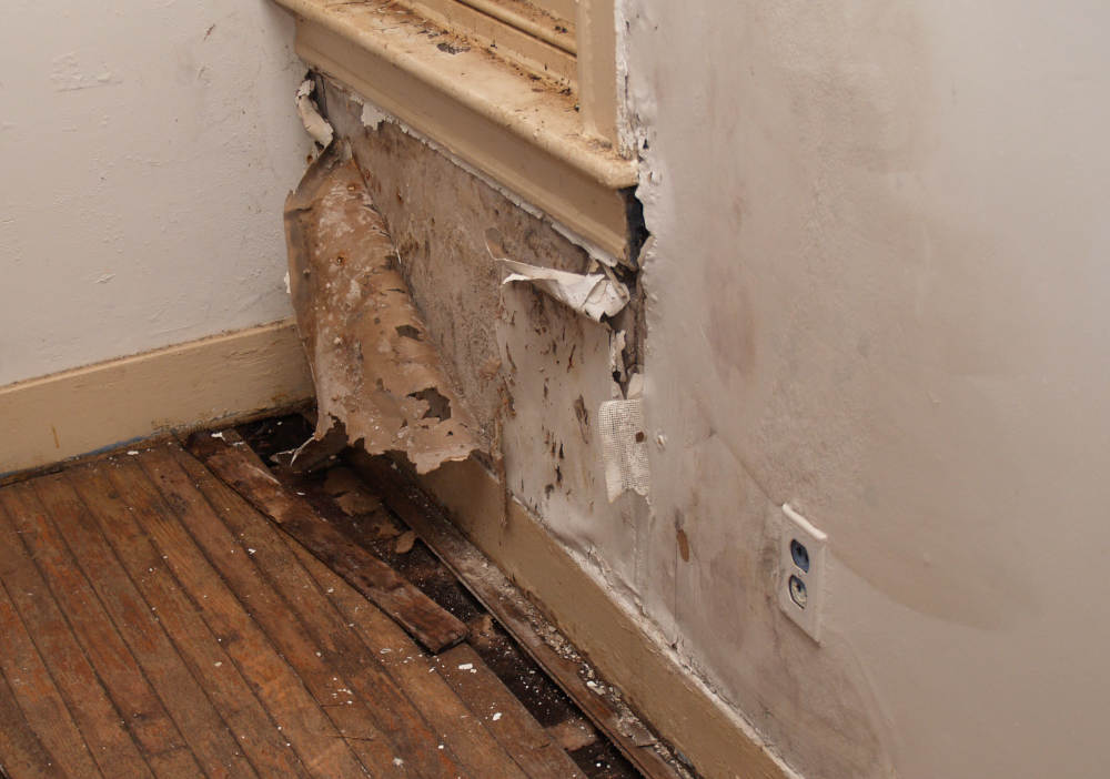 What You Need to Know About Lead Paint | Tri Span Hazard Cleanup